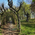 Park Grodowy i Art Inkubator przy ulicy Goyki 3