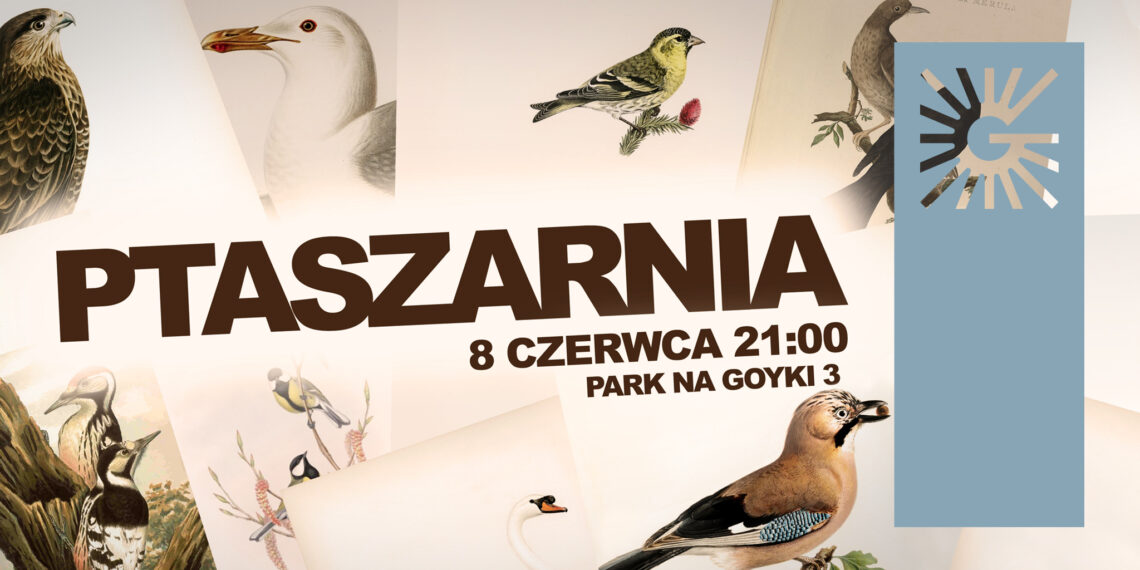Ptaszarnia. Muzyka, film i ptaki