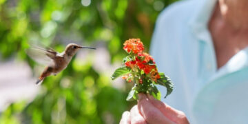 Prywatne: Kino na Goyki. Pokaz filmu „Każda mała rzecz” 7 listopada, godz. 17:00